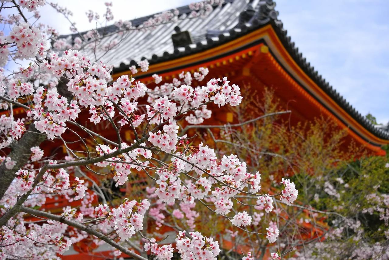 Daiichi Grand * Kyoto