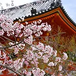 Daiichi Grand Hostel Kyoto